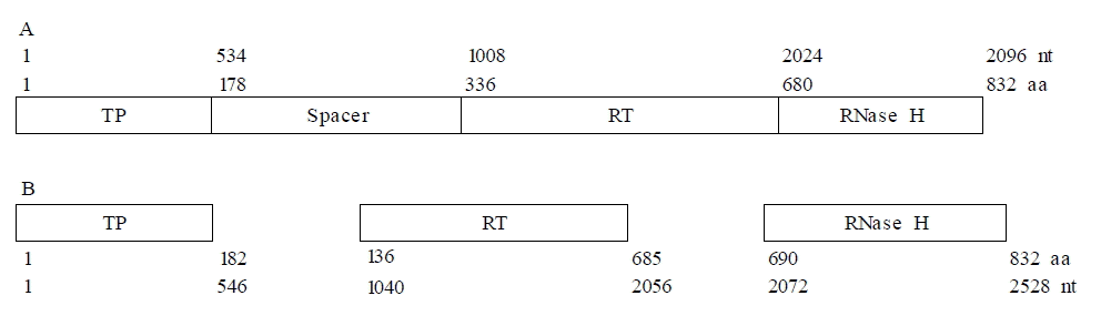 kjim-13-2-95-4f1.gif