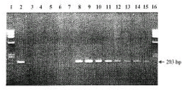 kjim-15-3-187-4f1.gif