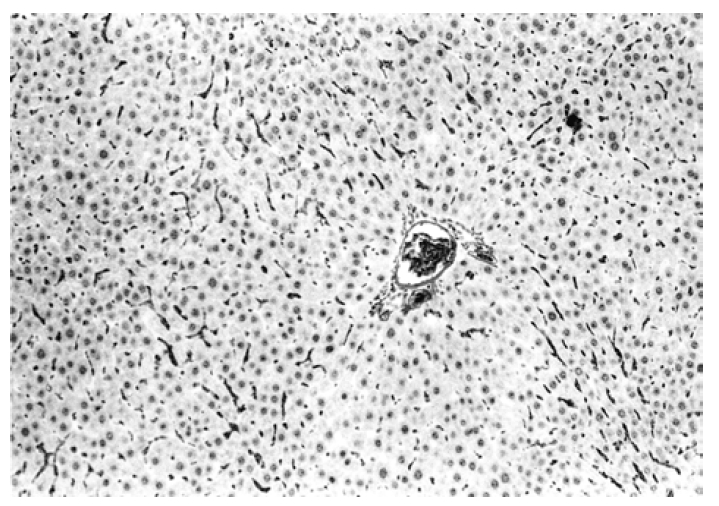 kjim-18-1-6-2f9.gif