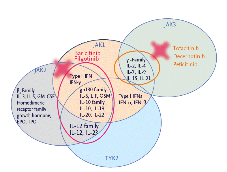 kjim-2015-137f3.gif
