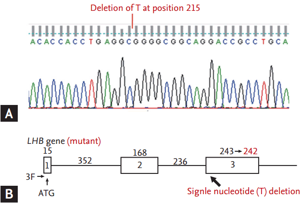 kjim-2015-373f2.gif