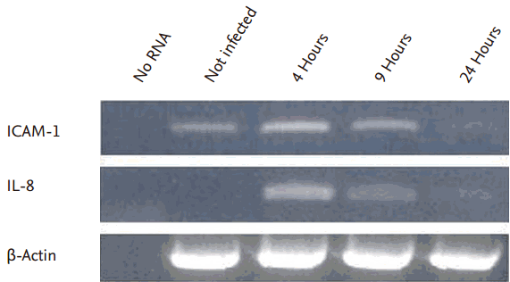 kjim-2015-409f1.gif
