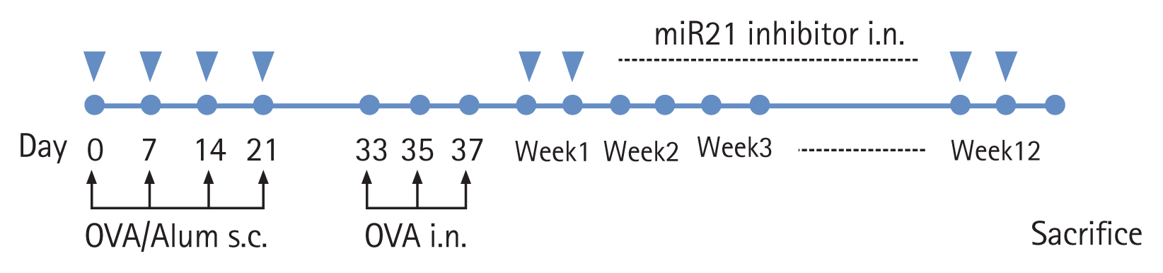 kjim-2020-132f1.gif