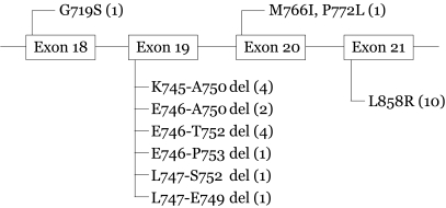 kjim-24-48-g001