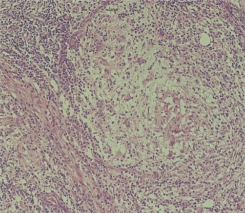 kjim-26-356-g003