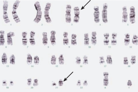 kjim-27-115-g002