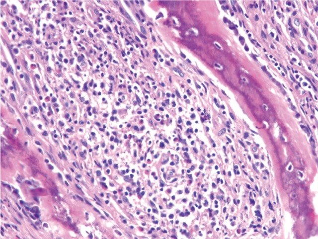kjim-27-459-g001.jpg
