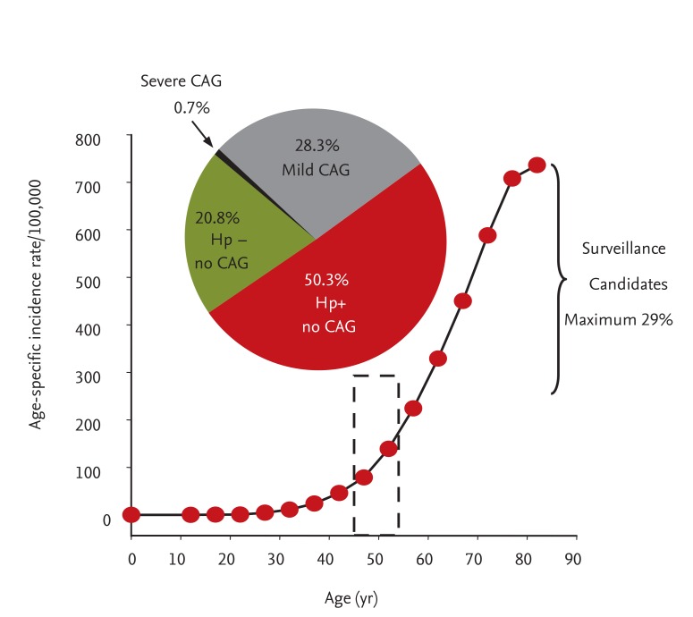 gastric cancer in korea