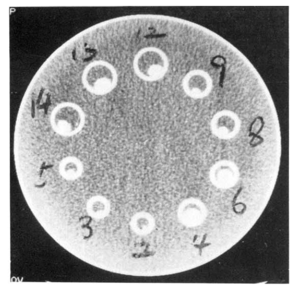 kjim-6-1-1-1f2.gif