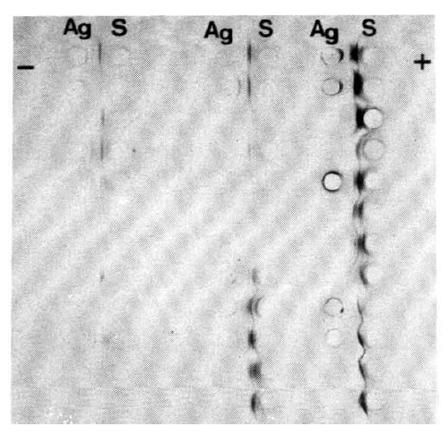 kjim-6-1-27-5f4.gif