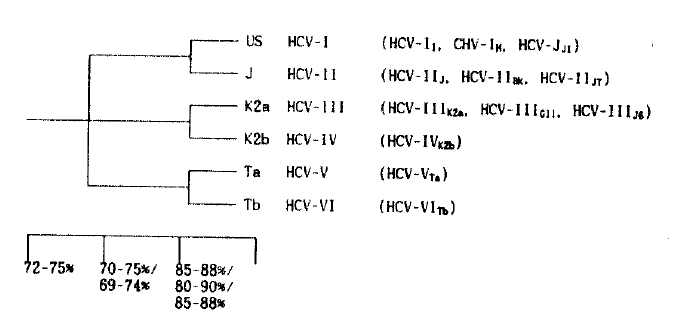 kjim-8-2-66-2f1.gif