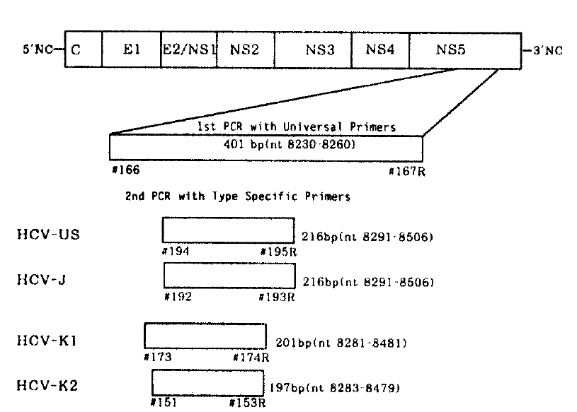 kjim-8-2-66-2f2.tif