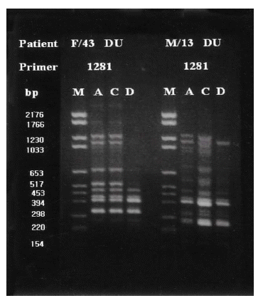 Figure 5.
