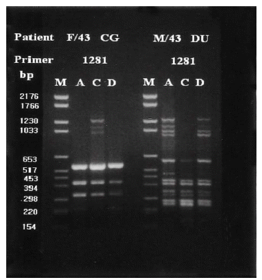 Figure 6.