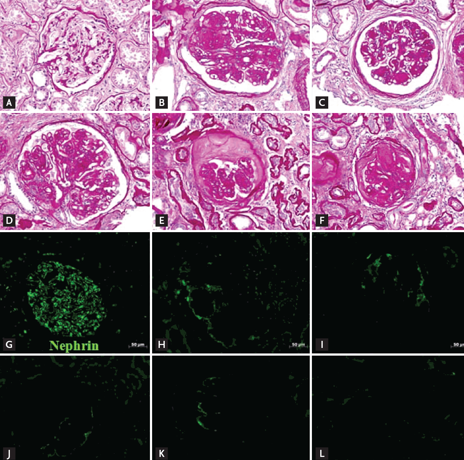 The Korean Journal of Internal Medicine