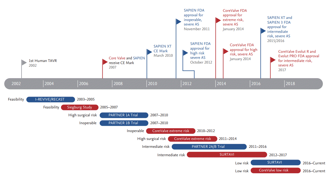 Expanding transcatheter aortic valve replacement into uncharted indications