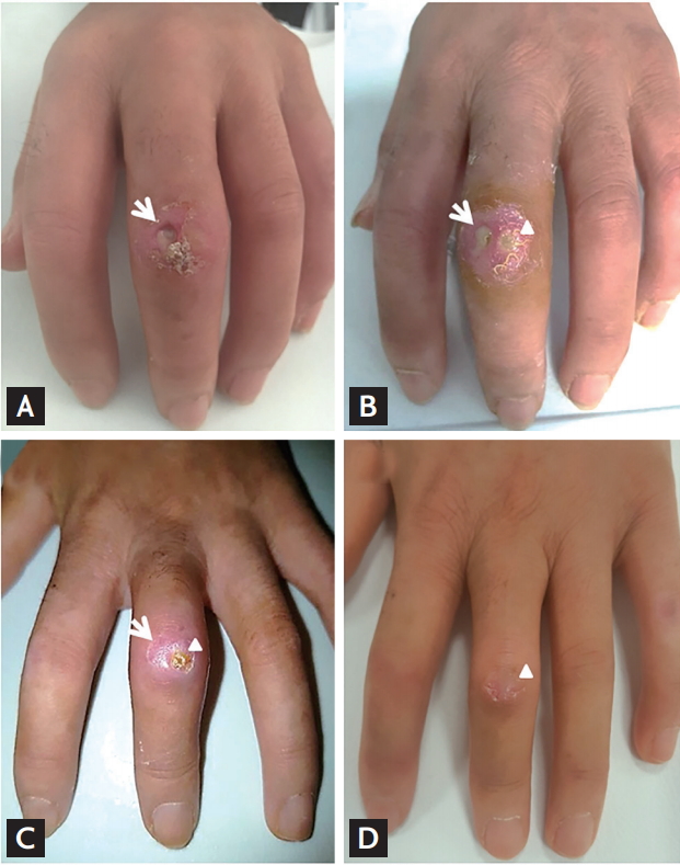 Figure 2.