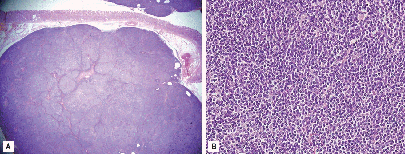 The Korean Journal of Internal Medicine