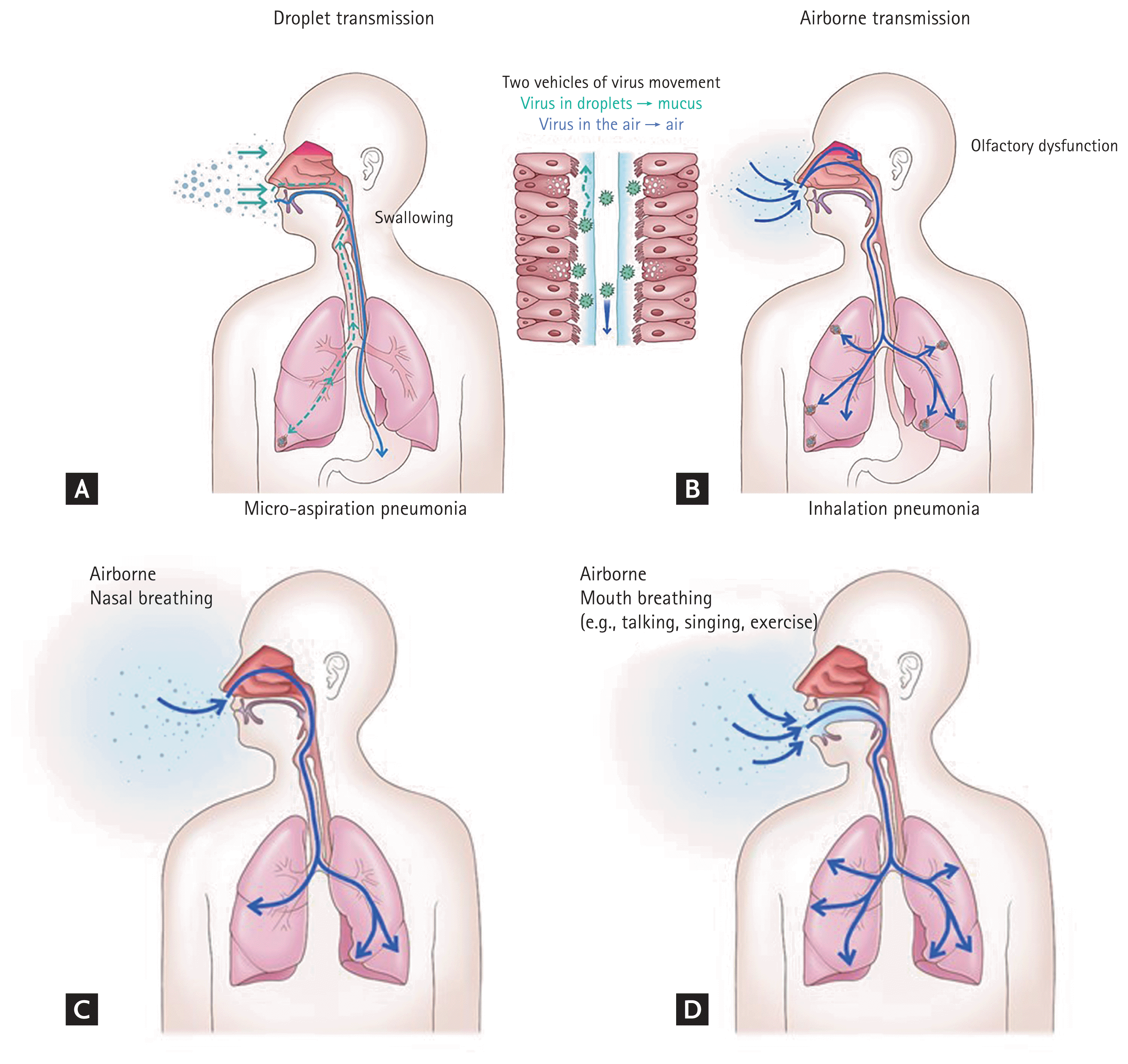 The Korean Journal of Internal Medicine