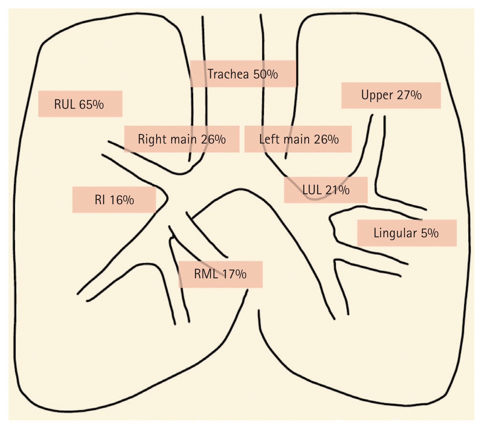 The Korean Journal of Internal Medicine